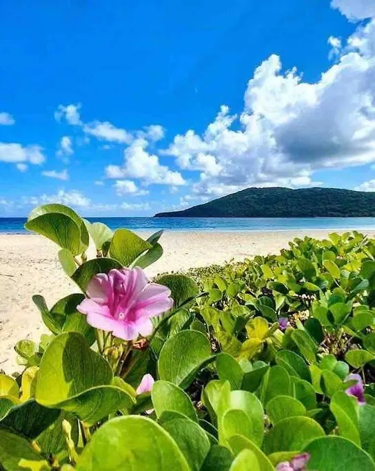 Costa Bonita Villas 3 Isla Culebra Apartament